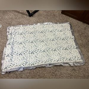Minky Couture Tween Size Blanket(36x50)